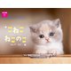こねこねこのこカレンダー2022 [カレンダー]