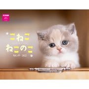 こねこねこのこカレンダー2022 [カレンダー]