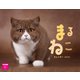 まるねこカレンダー2022 [カレンダー]
