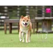 ほのぼのしばカレンダー2022 [カレンダー]
