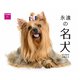 永遠の名犬カレンダー2022 [カレンダー]