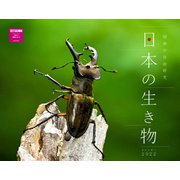 昭和の自由研究 日本の生き物カレンダー2022 [カレンダー]