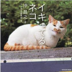イキってるネコ（タツミムック） [ムックその他]