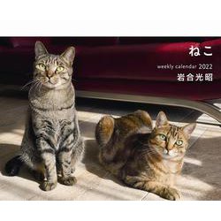 ヨドバシ Com 22 岩合光昭ねこ Weekly Calendar 単行本 通販 全品無料配達