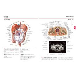 ヨドバシ.com - ソボッタ解剖学アトラス 原書24版 第2巻 体幹（内臓系