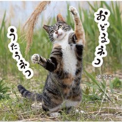 おどるネコうたうネコ [単行本]
