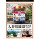 大井川鐵道 井川線 4K撮影作品 南アルプスあぷとライン 千頭～井川 (ビコム ワイド展望 4K撮影作品) [DVD]