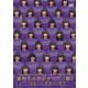 眉村ちあき／眉村ちあきのすべて(仮) [DVD]
