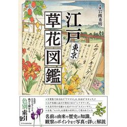 江戸東京草花図鑑 [単行本]