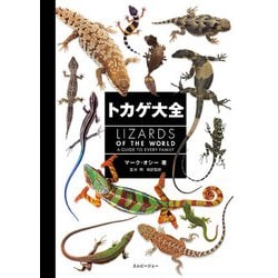 トカゲ大全 [図鑑]