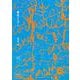 感覚のエデン(岡﨑乾二郎批評集〈vol.1〉) [単行本]