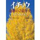 イチョウ 奇跡の2億年史(河出文庫) [文庫]