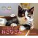 オレンジページ ねこなごみ。卓上カレンダー2022 [カレンダー]