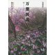 万葉異説―歌ことばへの誘い 増補版 [単行本]