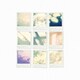 JUJU／こたえあわせ