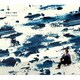 リトルパレード／藍染めの週末
