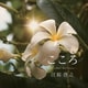 江原啓之／令和3年7月伊豆山土砂災害復旧支援チャリティアルバム こころ ～I colori del cuore～