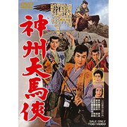神州天馬侠