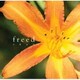 than／freed