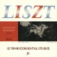 ALEXANDER BOROVSKY／ALEXANDER BOROVSKY plays LISZT 12 TRANSCENDENTAL ETUDES