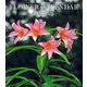 FLOWER CALENDAR 2022 [カレンダー]