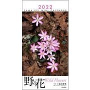野の花ミニカレンダー 2022 [カレンダー]