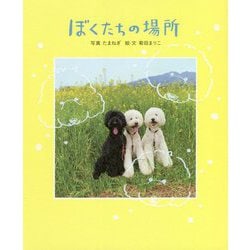 ぼくたちの場所 [単行本]