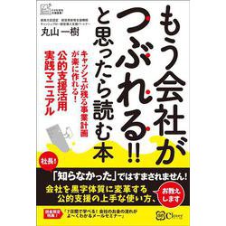 もう会社がつぶれる！！と思ったら読む本－キャッシュが残る事業計画が楽に作れる！公的支援活用実践マニュアル [単行本]