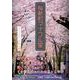 桜新町マイフル堂 [単行本]