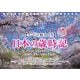 七十二候めくり 日本の歳時記 2022 [カレンダー]