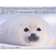 星野道夫カレンダー「極北の動物たち」ベストセレクション [ムックその他]