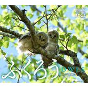 ふくろうカレンダー 2022 [カレンダー]