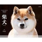 柴犬カレンダー 2022 [単行本]