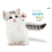 ほのぼの子ねこカレンダー 2022 [カレンダー]