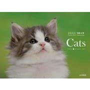 Catsカレンダー 2022 [単行本]