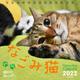なごみ猫 週めくりカレンダー 2022 [カレンダー]