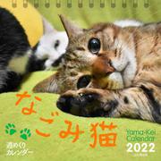 なごみ猫 週めくりカレンダー 2022 [カレンダー]