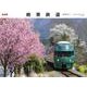 絶景鉄道カレンダー 2022 [カレンダー]