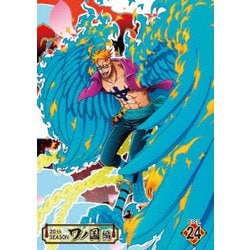 ONE PIECE ワンピース 20THシーズン ワノ国編 PIECE.24 [DVD]