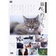 ネコメンタリー 猫も、杓子も。2 [DVD]