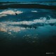 灰色ロジック／see the sea