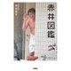 赤井図鑑 [単行本]