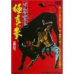 【DVD】けんか空手 極真拳