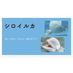 ヨドバシ.com - #かわいい#楽しい#癒し #水族館に行こう [単行本] 通販