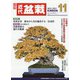 近代盆栽 2021年 11月号 [雑誌]
