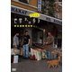岩合光昭の世界ネコ歩き イスタンブール [DVD]