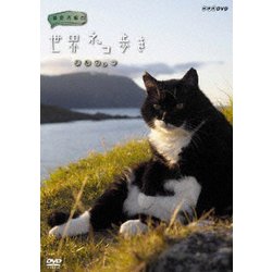 ヨドバシ.com - 岩合光昭の世界ネコ歩き ノルウェー [DVD] 通販【全品無料配達】