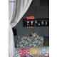 岩合光昭の世界ネコ歩き ハワイ [DVD]
