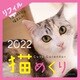 Cats Calendar 猫めくり リフィル2022 2022 [カレンダー]