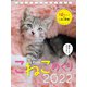 こねこめくり2022 2022 [カレンダー]